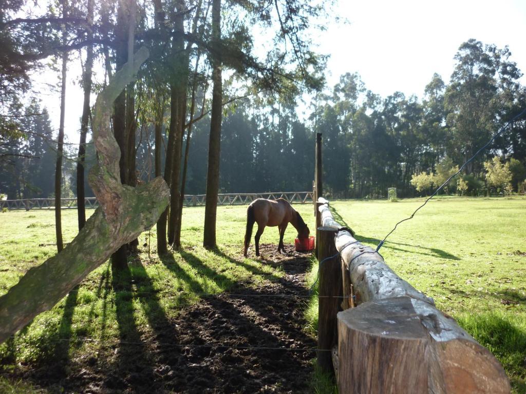 Hacienda La Carriona Hotel Sangolqui Bagian luar foto