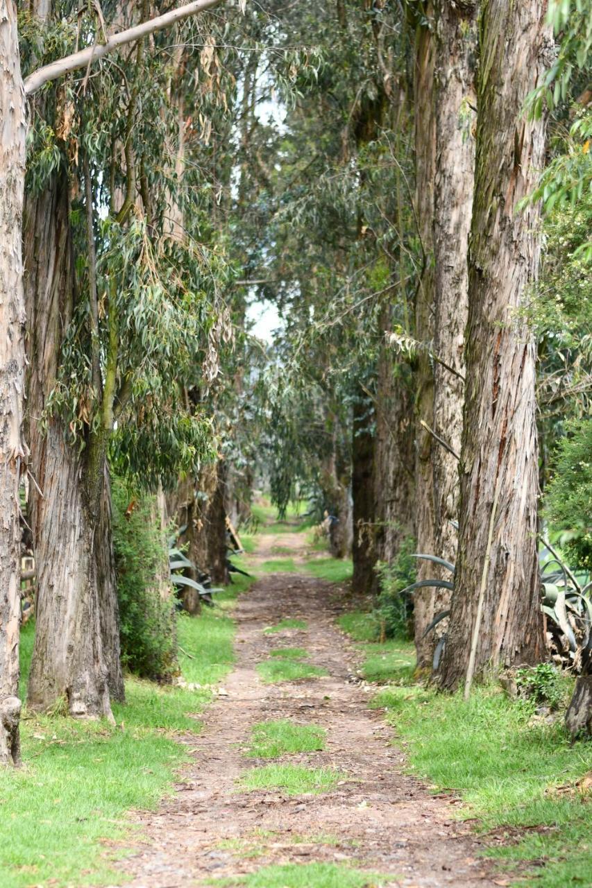 Hacienda La Carriona Hotel Sangolqui Bagian luar foto
